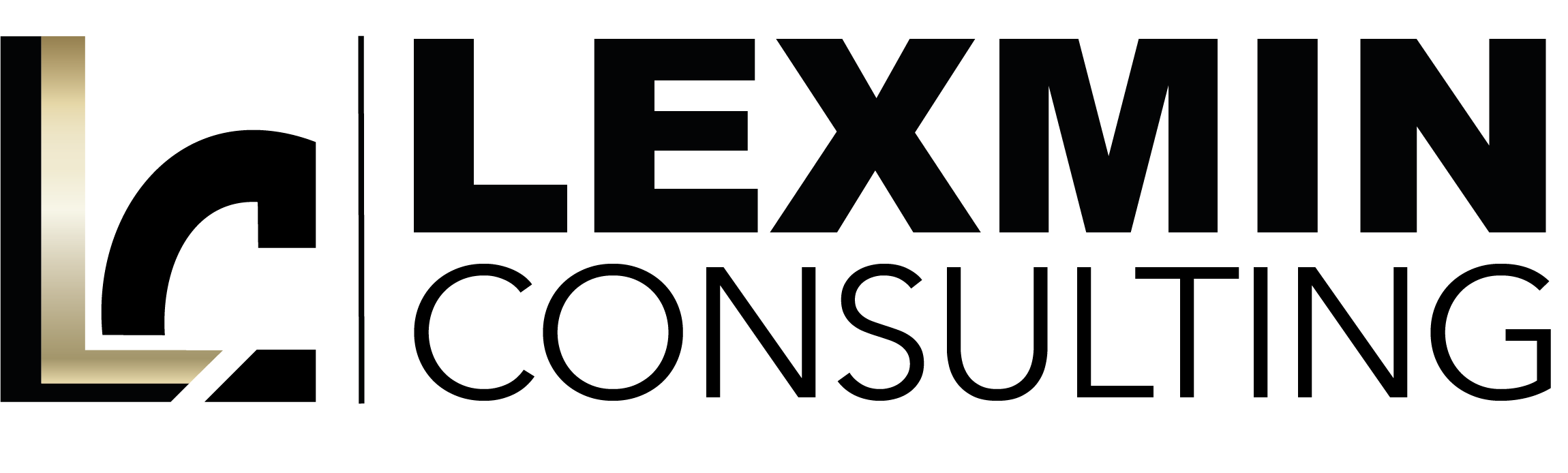 Lexmin consulting